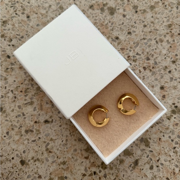 Jenny Bird Wide Hinged Hoop Earrings - Picture 8 of 8